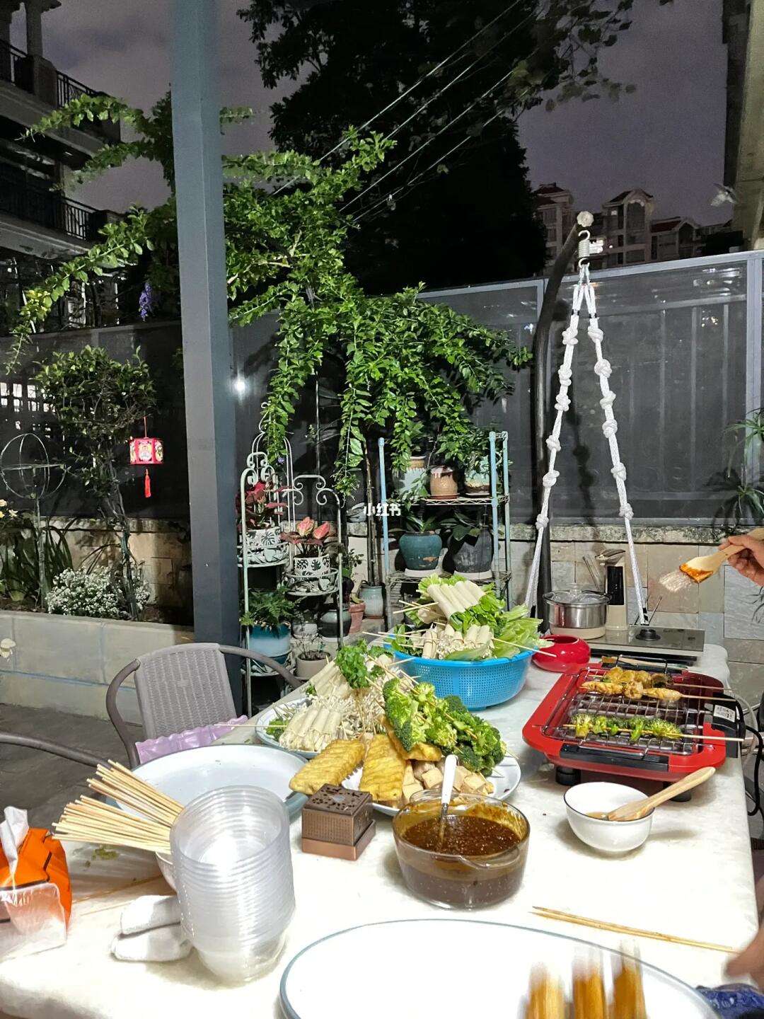 适合家庭聚会的素食烧烤食谱